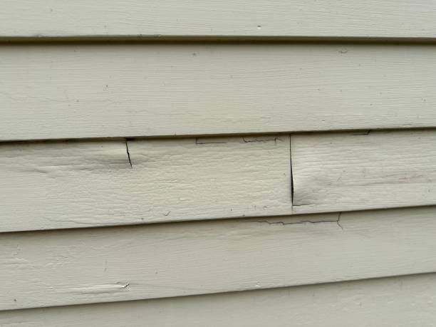 Affordable siding repair and maintenance services in Crenshaw, MS